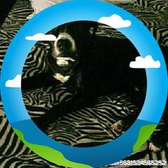 Profile Picture of Daniel Mal (@daniel.mal37) on Tiktok