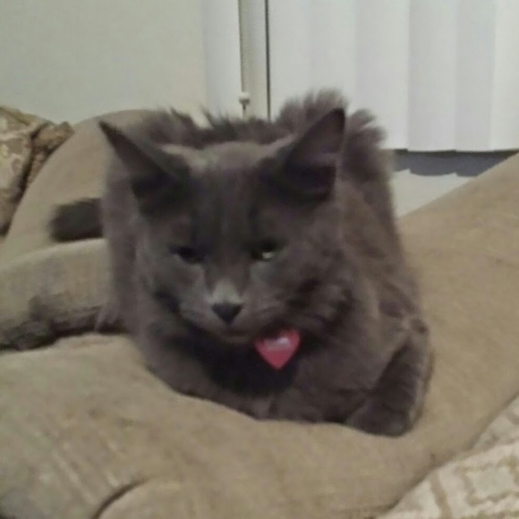 Profile Picture of Jennelle Hickman-schlievert (@jen1623) on Poshmark