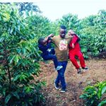 Profile Picture of Benson Harold (@haroldbenson) on Instagram