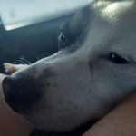 Profile Picture of Jesse Gaspar (@jesse.06__) on Instagram