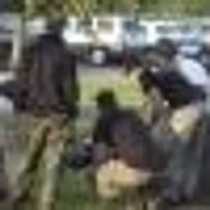 Profile Picture of Jonathan Shillings (@178927463) on Myspace