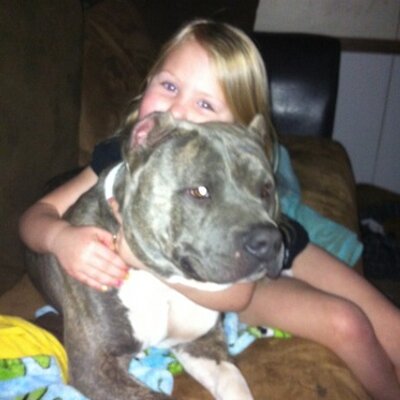 Profile Picture of Matt Bethards (@kodbullys81) on Twitter