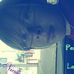 Profile Picture of Katelyn Davey (@katelyn.davey.39) on Facebook