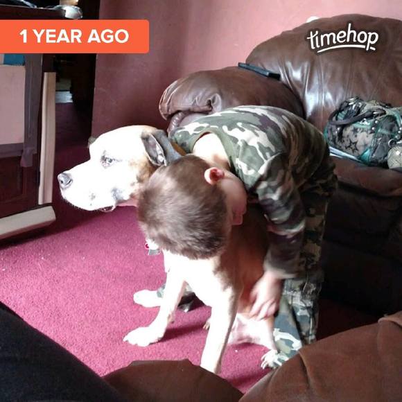 Profile Picture of Billy Dheel (@ru4mopar) on Poshmark