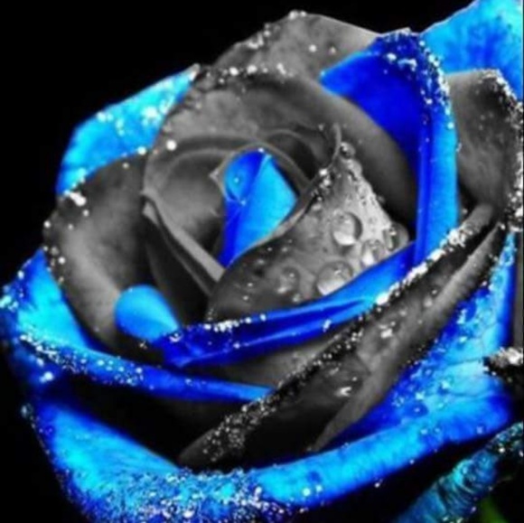 Profile Picture of Tabatha Venker (@tjvenker) on Poshmark