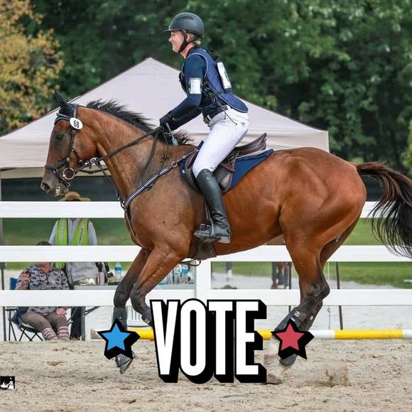 Profile Picture of Anne Perisho (@aperi89) on Poshmark