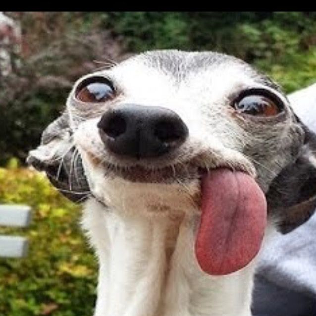 Profile Picture of Konrad (@konradspezial) on Tiktok