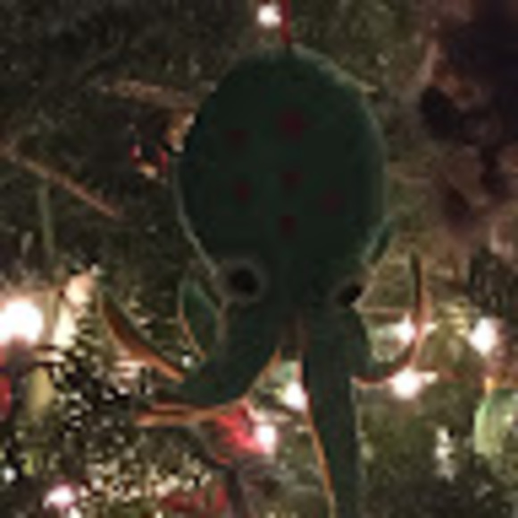 Profile Picture of Amy Richard (@amyrichard595) on Poshmark