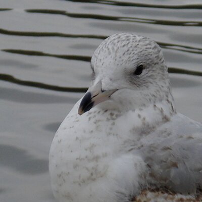 Profile Picture of John Colvin (@johncolvin13) on Twitter