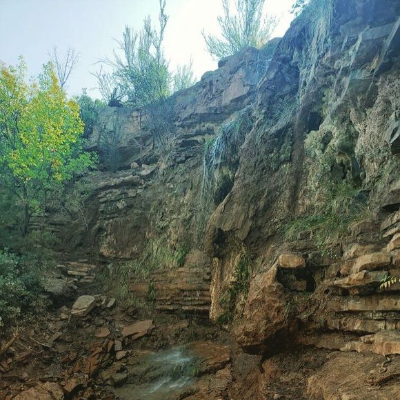 Profile Picture of Eloiza Castillo (@eloizacastillo) on Poshmark