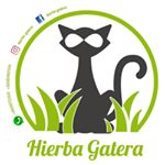 Profile Picture of Hierba Gatera Chile (@hierba_gatera) on Instagram