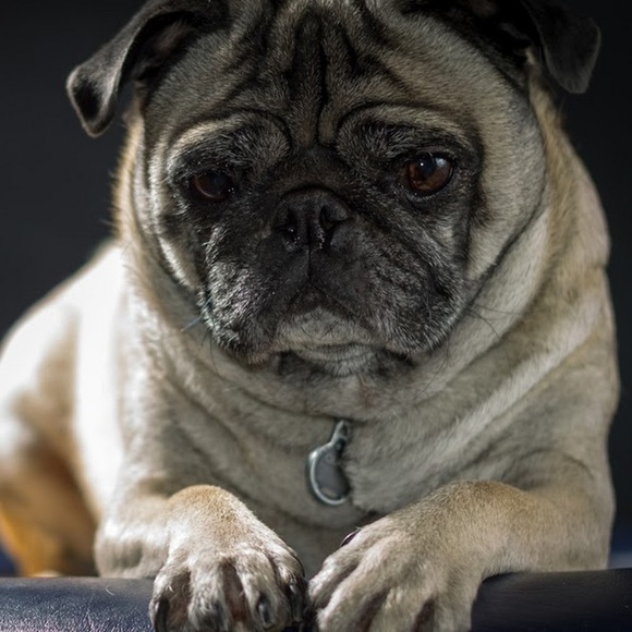 Brandon Chiarmonte - Poshmark Profile Picture of Brandon Chiarmonte (@bchiarmonte) on Poshmark