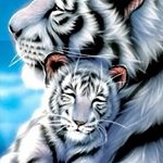 Profile Picture of Dwight Morrison (@1966yardman11966) on Instagram