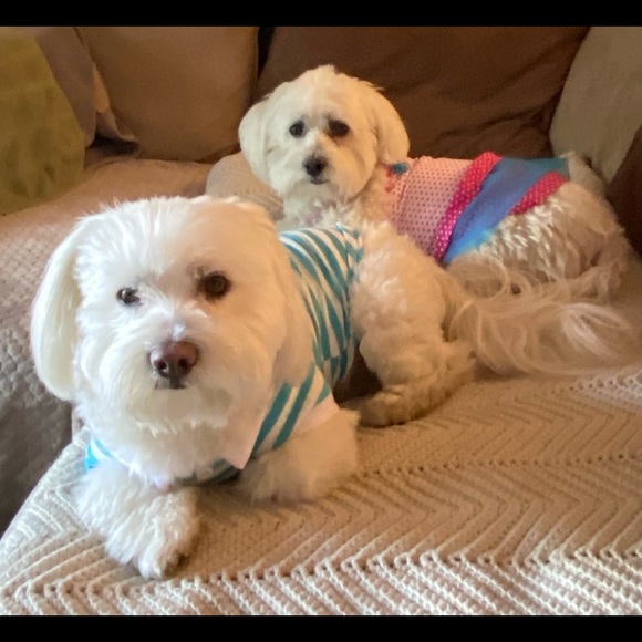 Romella Martinez - Poshmark Profile Picture of Romella Martinez (@relliem) on Poshmark