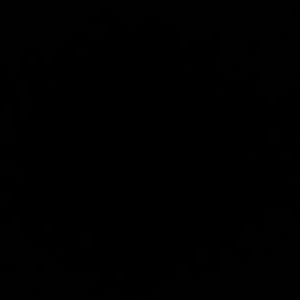 Profile Picture of Li (@John_Li) on Twitter