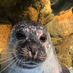 Profile Picture of Doris (@doris_ivy10) on Instagram