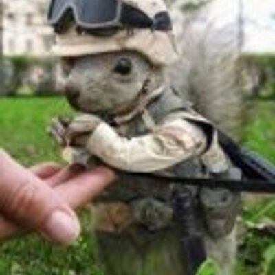 Profile Picture of Joe Cadet (@joe_cdt) on Twitter