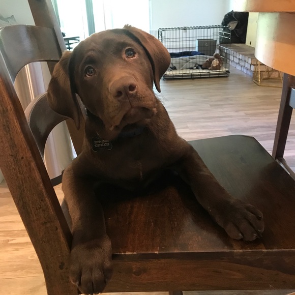 Profile Picture of Allie Engberson (@aengberson) on Poshmark