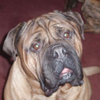 Profile Picture of Chris Tietgens (@chris.tietgens) on Facebook