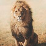 Profile Picture of brian_sekoteng (@brian_sekoteng) on Instagram