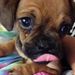 Profile Picture of Allisonwonderland Mccabe (@p3mccabe) on Pinterest