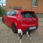 Profile Picture of Ruben Perrino Fiallegas (@perry24_) on Instagram