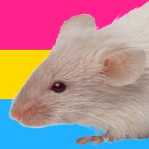 Profile Picture of я не убийца, я - солнце. (@roza_jung) on Twitter