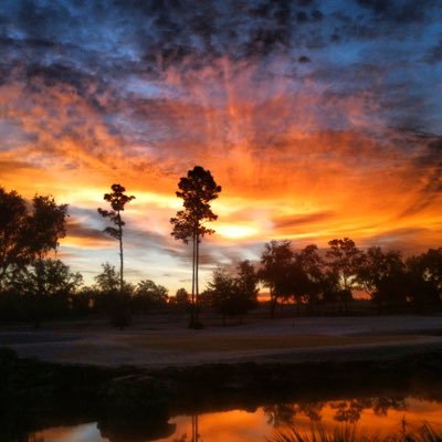 Profile Picture of Sean Plummer (@seanpgolf) on Twitter