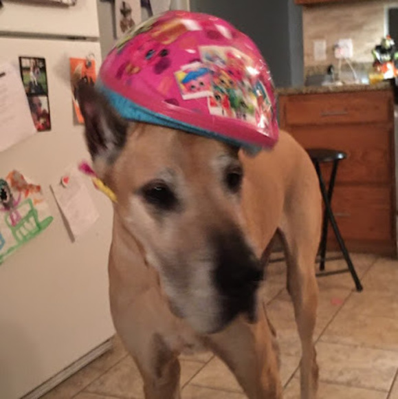 Profile Picture of Calvin Laiben (@damarkus805) on Poshmark