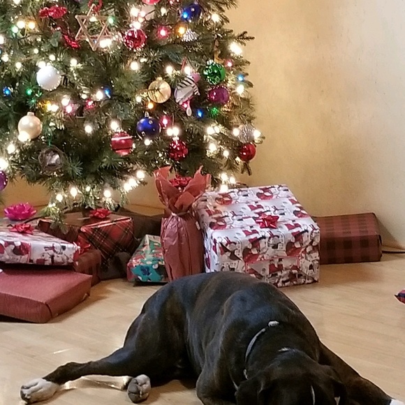 Profile Picture of Corena Orris (@corenaorris) on Poshmark