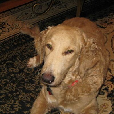 Profile Picture of Jon Marcum (@marcumjon) on Twitter