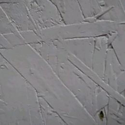 Profile Picture of Adam Nowakowski386 (@adamski386) on Tiktok