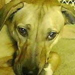 Profile Picture of tamara fiske (@tamarafiske) on Instagram