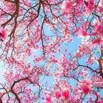 Profile Picture of Bobbi Fieldhouse (@spoonstance) on Instagram