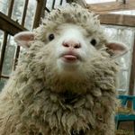 Profile Picture of Arnold Wu (@arnold.wu.372) on Instagram