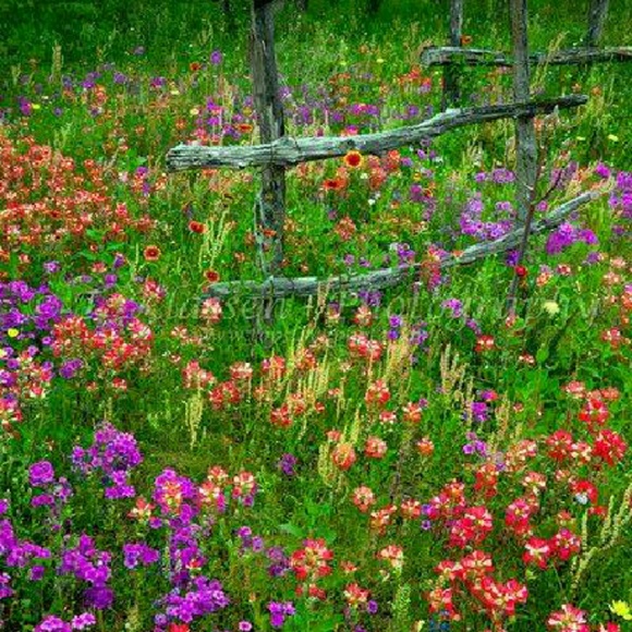 Profile Picture of Glynis Moore (@gmoore63) on Poshmark