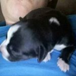 Profile Picture of emidio ramirez (@ramirez_emidio) on Instagram