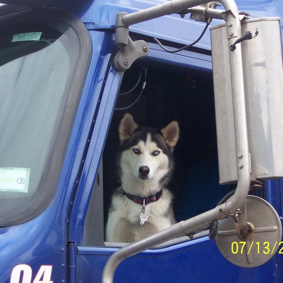 Profile Picture of Michael Allen (@huskyrig) on Poshmark