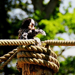 Profile Picture of Sam Morgan (@sammorgan1988) on Flickr