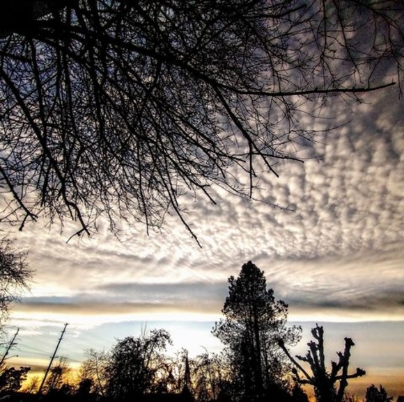 Profile Picture of Dustin Kvammeñ (@dckre9) on Poshmark