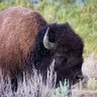 Profile Picture of Tim Feldis (@tim-feldis) on Quora