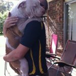 Profile Picture of Ben 'Cena' Wallace (@bullymaster) on Instagram