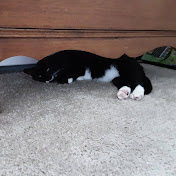 Profile Picture of Bryan Pettit (@bpettit1978) on Youtube