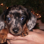 Profile Picture of Tia Gray (@xQueenTiax) on Youtube