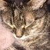 Profile Picture of Cathy Doub (Cathy Metrovitsch) (@cathy.doub.58) on Facebook