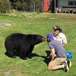 Profile Picture of Jeff McLellan (@jeffmclellan) on Instagram