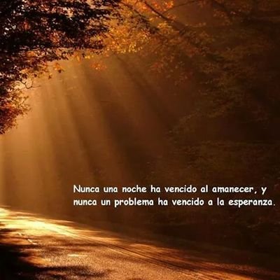 Profile Picture of Julio César Peraza D (@jcpd440) on Twitter