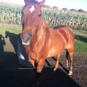 Profile Picture of Nathan Lee Mundt (@nathan55lee) on Myspace