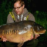 Profile Picture of James Holifield (@holifield1988) on Instagram