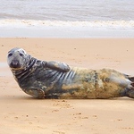 Profile Picture of Adam Jenkins (@jenks_1982) on Flickr